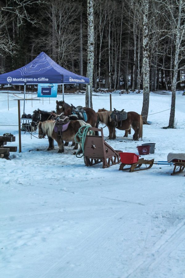 Les Hivernales du Haut-Giffre_Sixt-Fer-à-Cheval