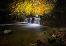 Exposition photo Eauthenticité