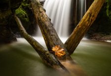 Exposition photo Eauthenticité