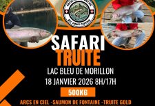Safari Truite