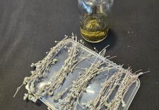 Atelier fabrication de Génépi