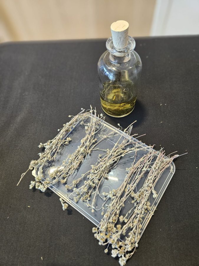 Atelier fabrication de Génépi_Taninges