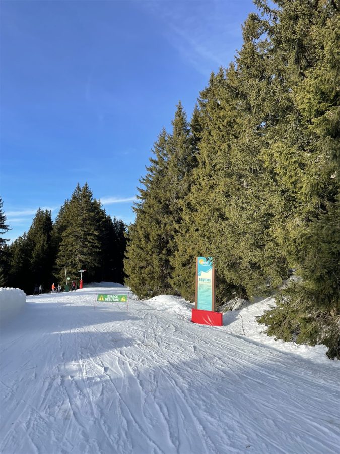 Marvel enchantée_Morillon