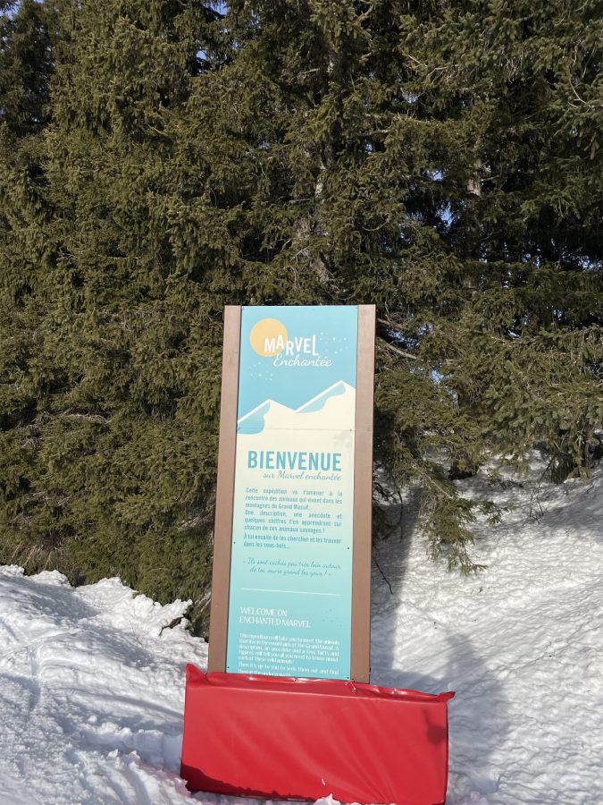 Marvel enchantée_Morillon