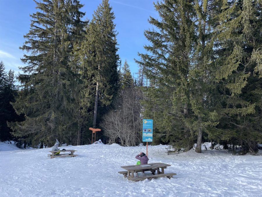 Marvel enchantée_Morillon