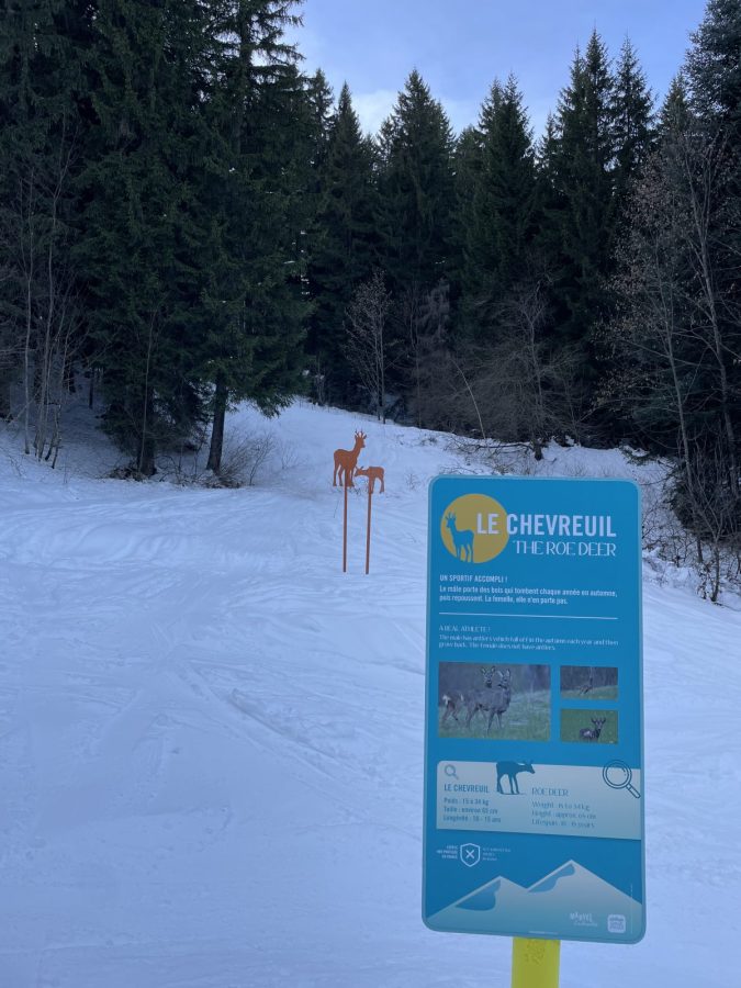 Marvel enchantée_Morillon