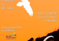 Faune du Giffre & coulisses de la photo animalière