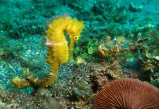 Exposition photo « Voyage aux 4 coins du monde »