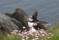 Exposition photo « Voyage aux 4 coins du monde »