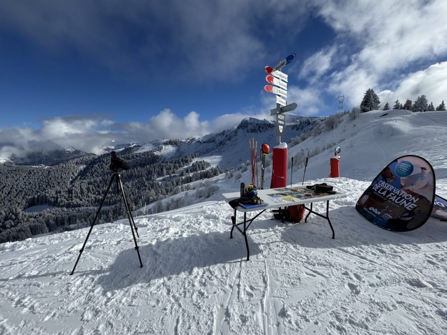 Animation nature Grand Massif Domaine Skiable_Morillon