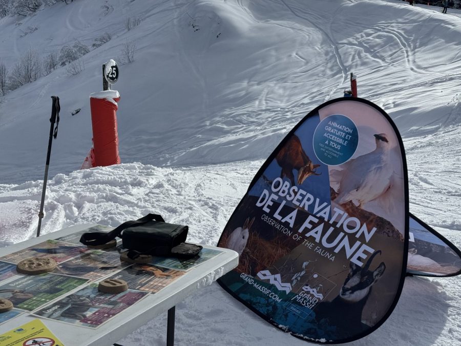 Animation nature Grand Massif Domaine Skiable_Morillon