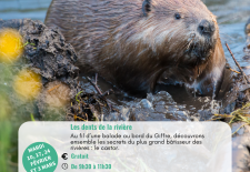 Les dents de la rivière