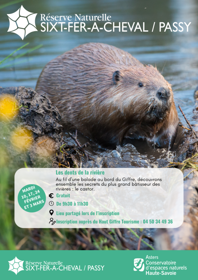 Les dents de la rivière_Morillon