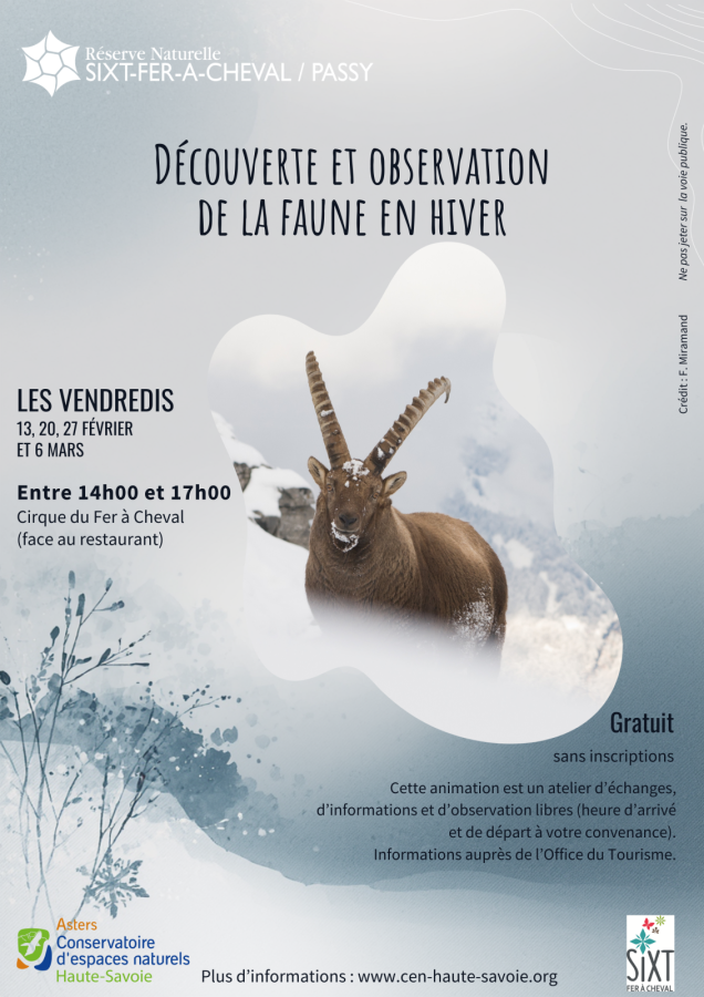Découverte et observation de la faune en Hiver._Sixt-Fer-à-Cheval