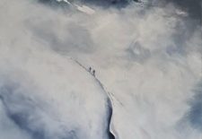 Exposition de Linday JAY – Peintures à l&rsquo;acrylique – Galerie d&rsquo;art Barbara Thollot