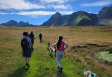 3 Journées découverte des chiens de traineaux