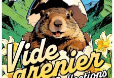 Vide grenier & collections