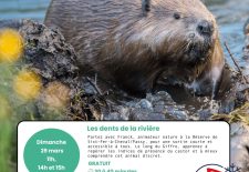 Les dents de la rivière