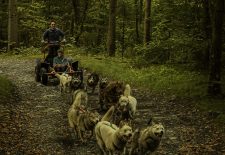 Cani Kart