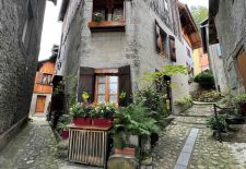 Atelier fabrication de génépi et découverte culturelle