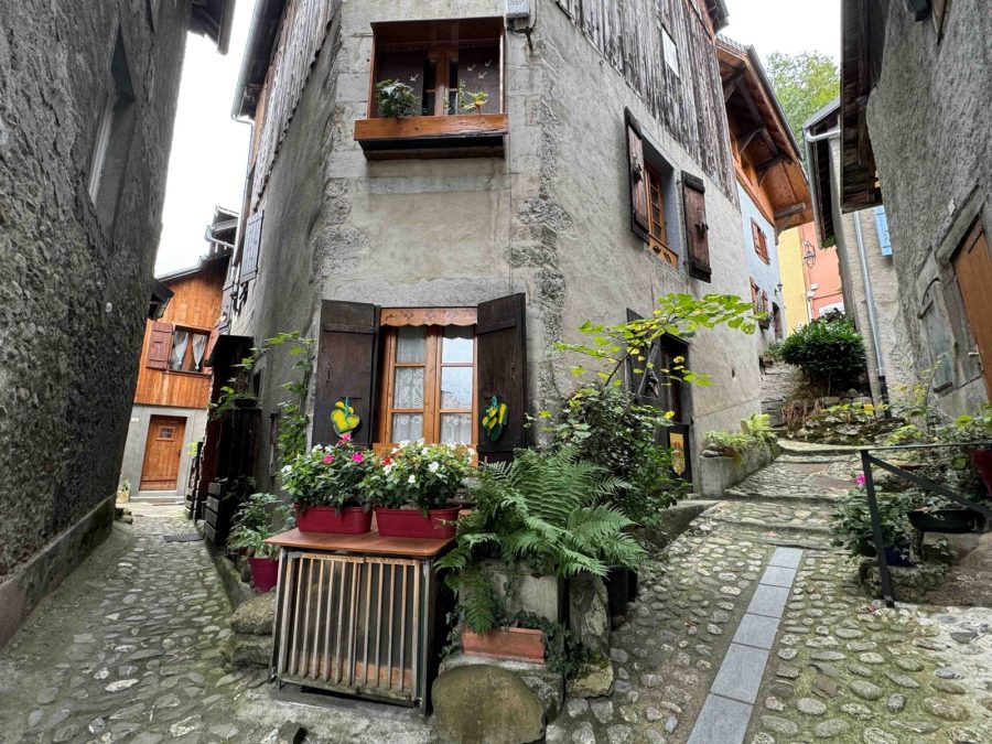 Atelier fabrication de génépi et découverte culturelle_Taninges