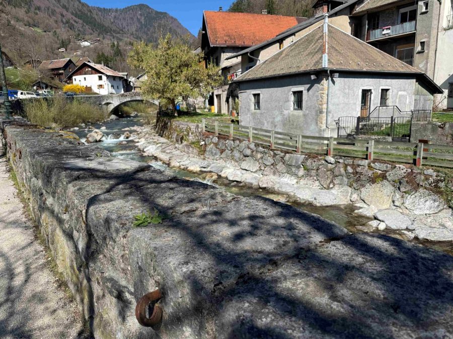 Atelier fabrication de génépi et découverte culturelle_Taninges