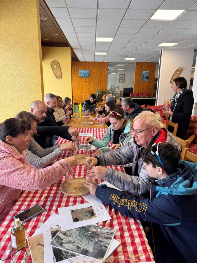 Atelier fabrication de génépi et découverte culturelle_Taninges