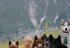 Atelier 3 à 6 ans avec nos chiens de traîneaux