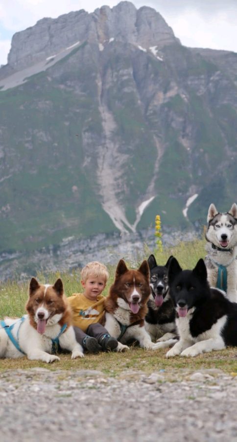 Atelier 3 à 6 ans avec chiens de traineau_Morillon