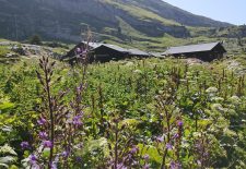 Rencontre litéraire avec l&rsquo;auteur Patrice Gain au refuge de Sales