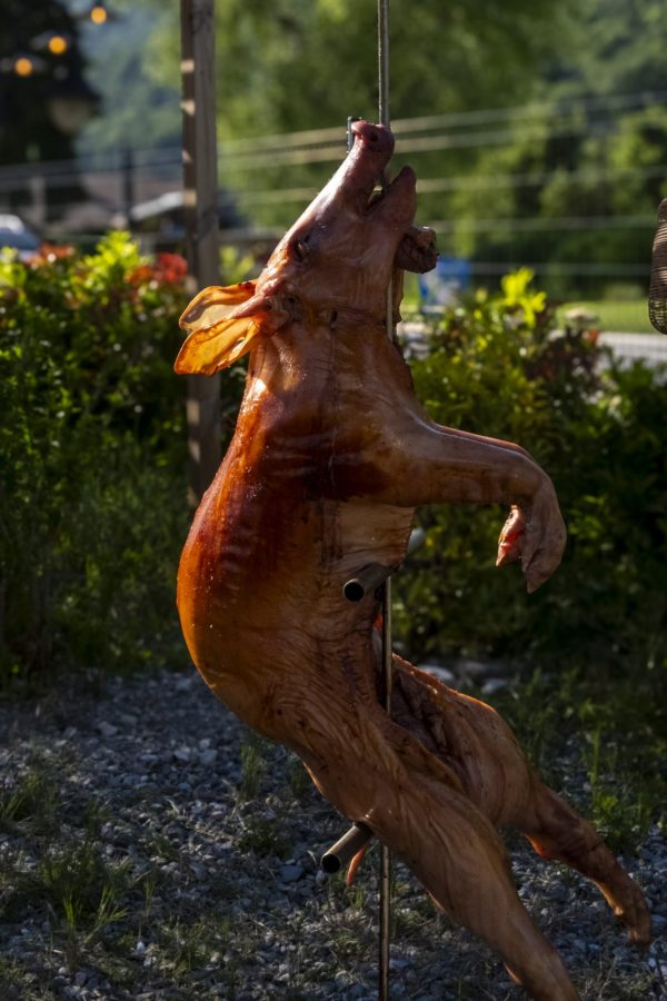 cochon à la broche