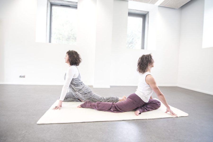 Yogisattva