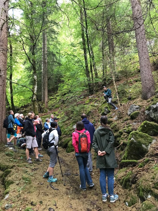 Fête des possibles : Balad’arbre_Verchaix