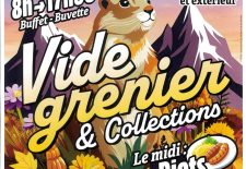 Vide Grenier & Collections