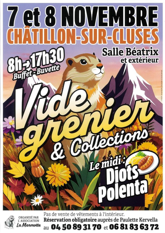 Vide Grenier & Collections_Châtillon-sur-Cluses