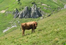Randonnée Les chalets de Lairon