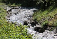Sentier de Lornaz n°2