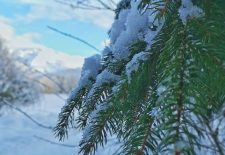 Formation à la nivologie et aux risques d&rsquo;avalanche.